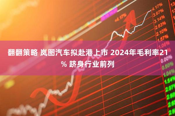 翻翻策略 岚图汽车拟赴港上市 2024年毛利率21% 跻身行业前列