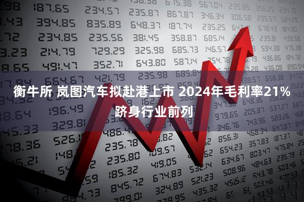 衡牛所 岚图汽车拟赴港上市 2024年毛利率21% 跻身行业前列