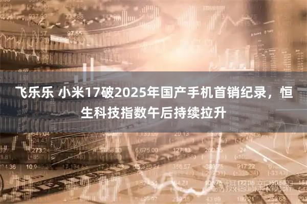 飞乐乐 小米17破2025年国产手机首销纪录，恒生科技指数午后持续拉升