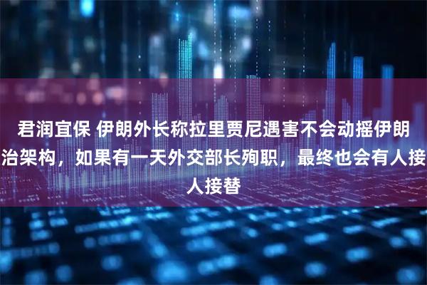 君润宜保 伊朗外长称拉里贾尼遇害不会动摇伊朗政治架构，如果有一天外交部长殉职，最终也会有人接替